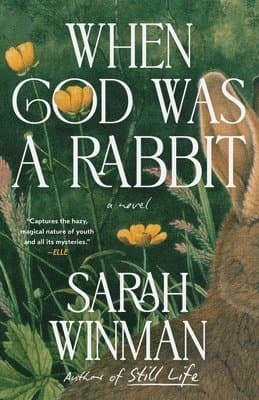 When God Was a Rabbit