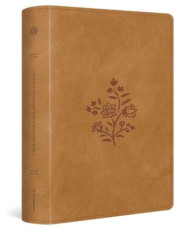 Omslag till boken ESV Single Column Journaling Bible, Large Print av Esv Bibles